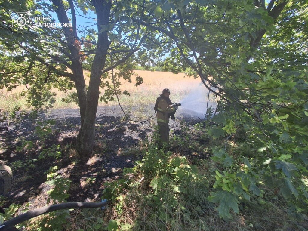За минулу добу на території міста та області рятувальники ліквідували одинадцять пожеж в екосистемах