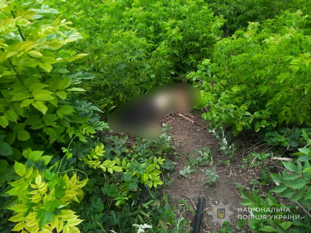 На Запоріжжі в ДТП загинули двоє людей