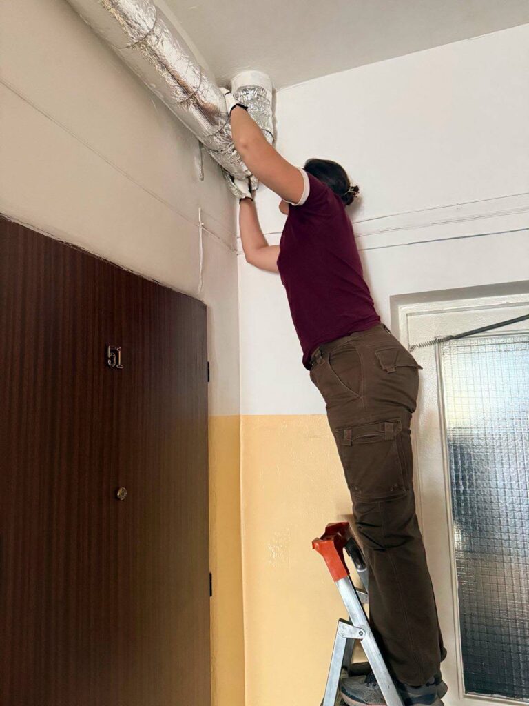 Сімох кажанів із запорізького під’їзду врятували волонтери