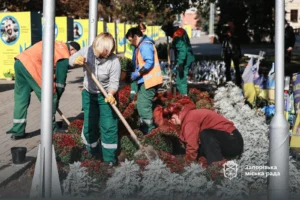У Запоріжжі розпочали осінню висадку хризантем