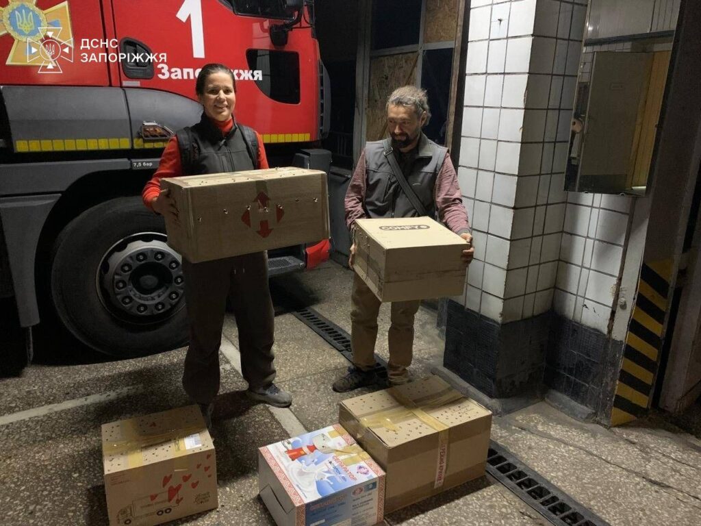 Із балкона у Запоріжжі рятувальники вилучили 250 кажанів