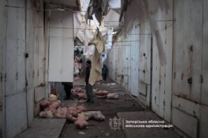 Під ранок росіяни вдарили по Запоріжжю шахедами, загинули дві жінки, поранені чоловік і дитина