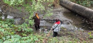 У Запоріжжі очистили річку Суху та висадили 20 кущів на її березі